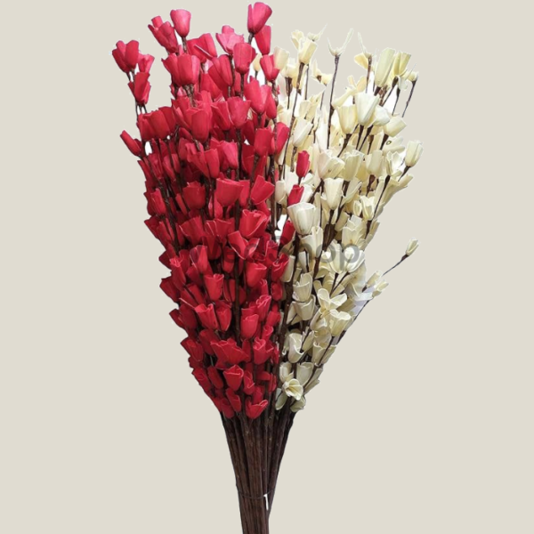 Natural dried Small Lily Flower for Decoration bunch - Home decore